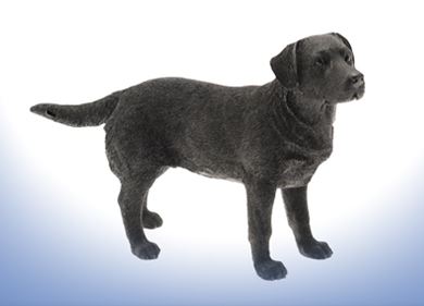Labrador, black standing Dog Ornament