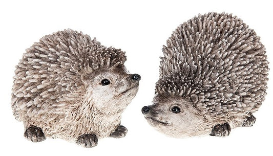 Country hedgehogs medium