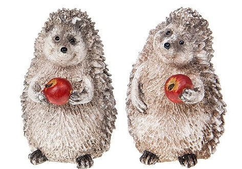 Happy hedgehog mini with apple
