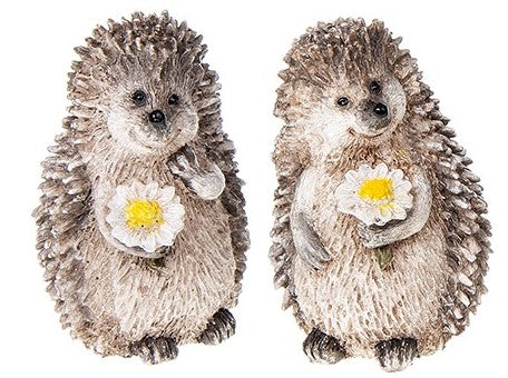 Happy hedgehog mini with daisy