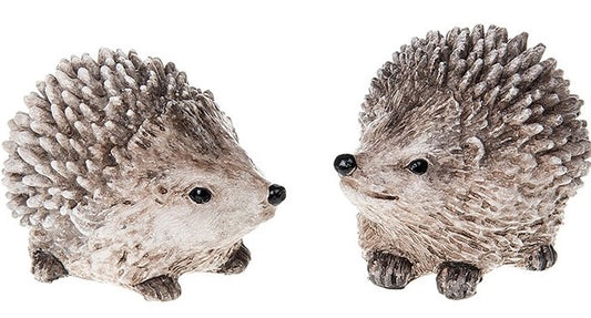 Country hedgehogs small