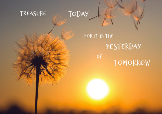 Treasure Today for it is the Yesterday of Tomorrow - Dandelion Clock at Sunset.  Print