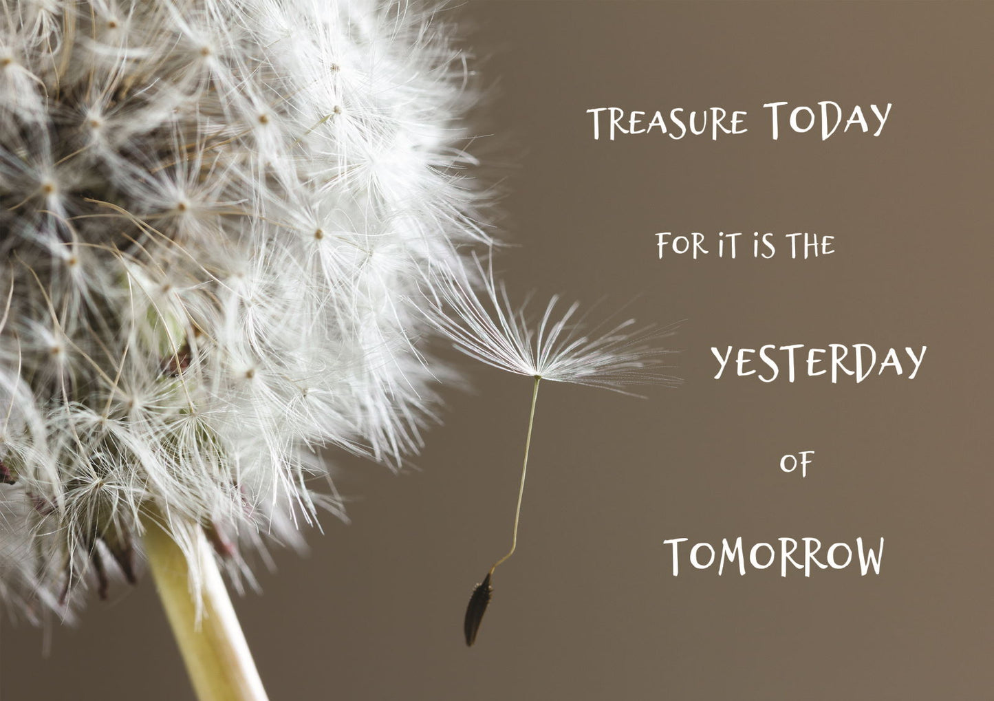 Treasure Today for it is the Yesterday of Tomorrow.  Dandelion Clock on Grey.  Print
